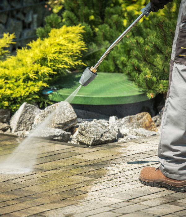 untitled design 2026 02 04t040923.616